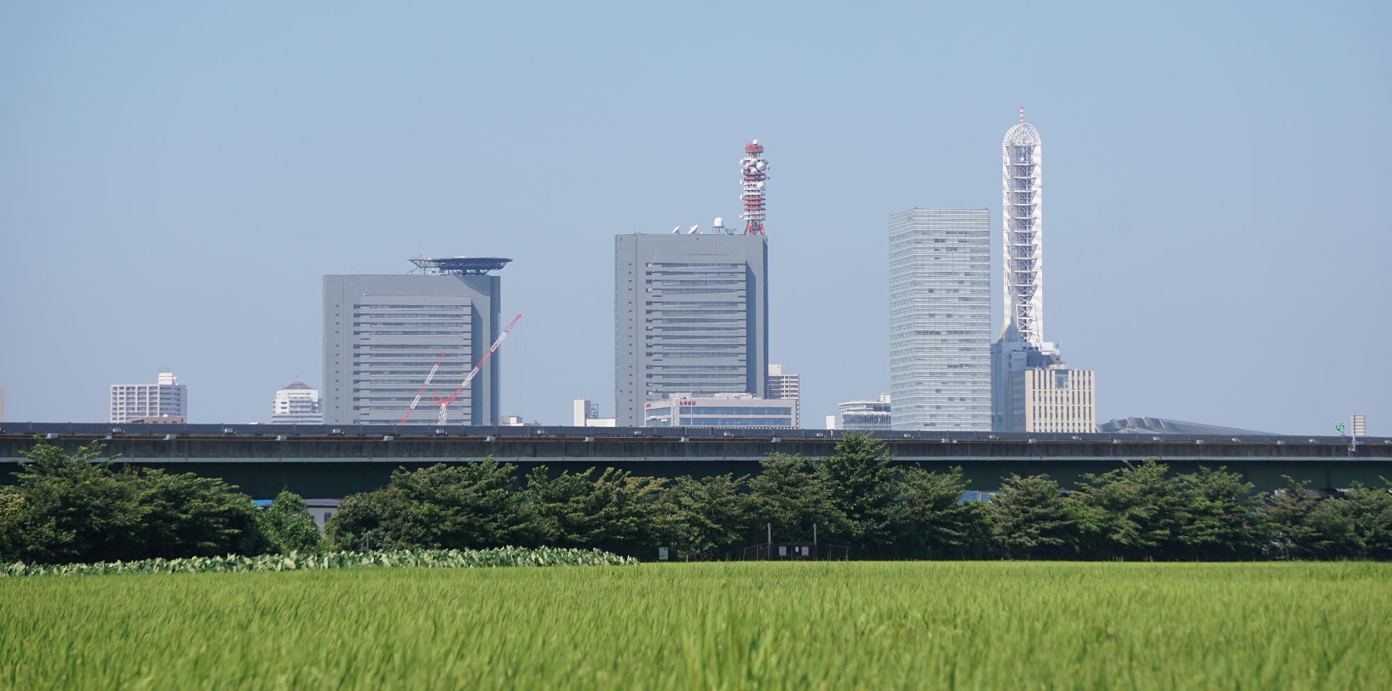 我々はこれからもずっと社会に貢献していきます。